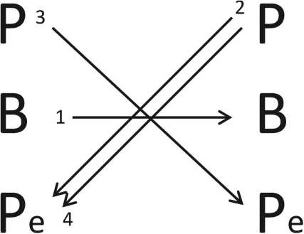 Иллюстрация к книге — Теория развития рынка. Психология потребления [i_013.jpg]