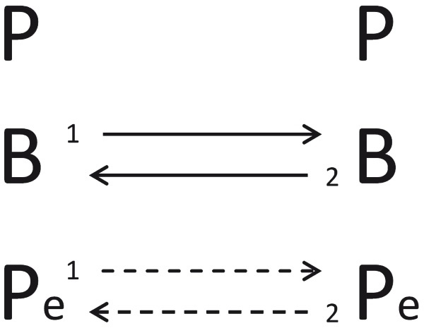 Иллюстрация к книге — Теория развития рынка. Психология потребления [i_014.jpg]