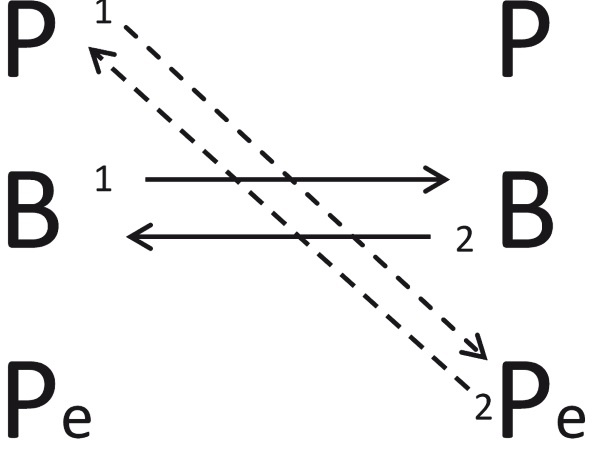 Иллюстрация к книге — Теория развития рынка. Психология потребления [i_015.jpg]
