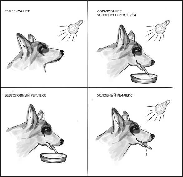 Иллюстрация к книге — Теория развития рынка. Психология потребления [i_021.jpg]