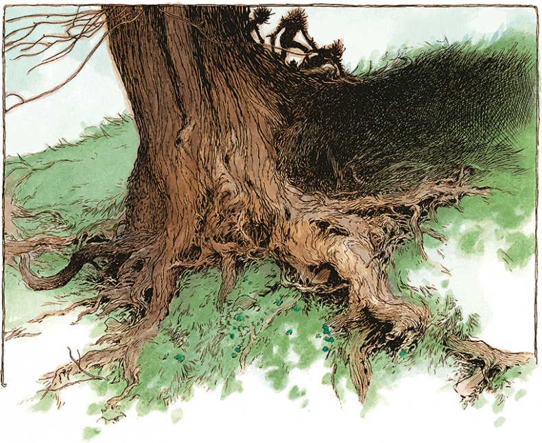 Иллюстрация к книге — Семь диких сестер [i_005.jpg]