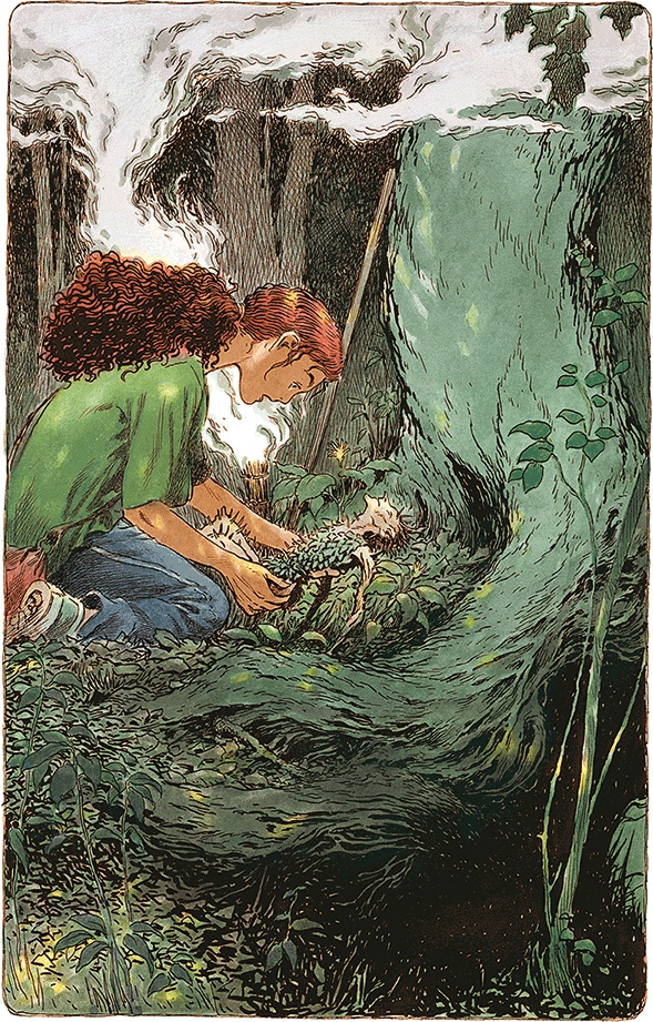 Иллюстрация к книге — Семь диких сестер [i_016.jpg]