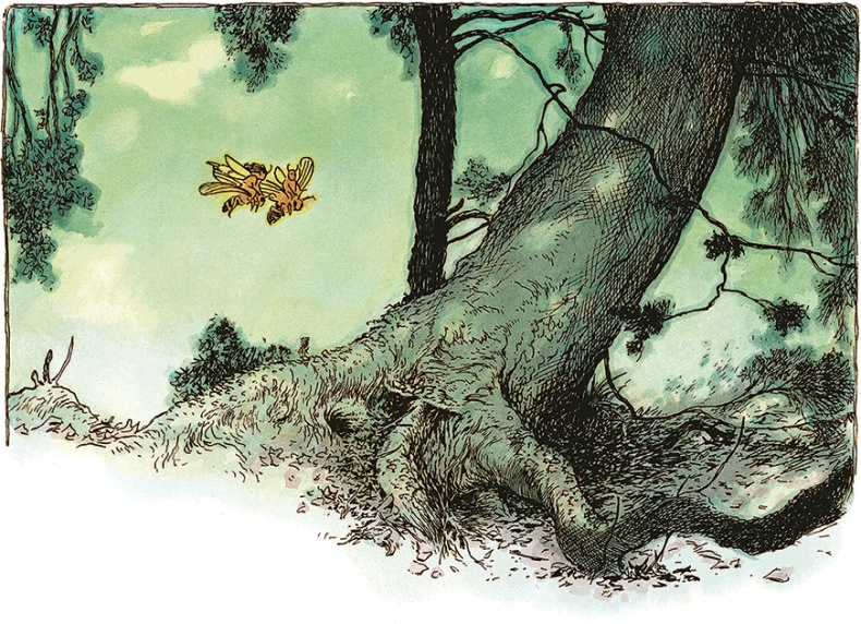 Иллюстрация к книге — Семь диких сестер [i_024.jpg]