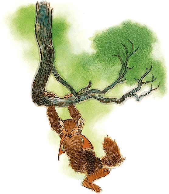 Иллюстрация к книге — Семь диких сестер [i_038.jpg]