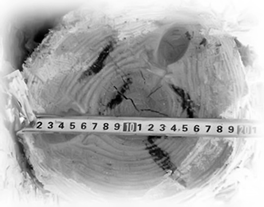 Иллюстрация к книге — Залоговик. Все о банковских залогах от первого лица [i_147.jpg]