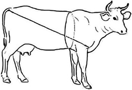 Иллюстрация к книге — Залоговик. Все о банковских залогах от первого лица [i_183.jpg]