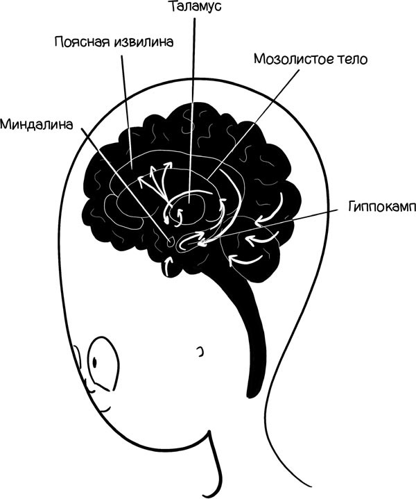 Иллюстрация к книге — Как запомнить всё! Секреты чемпиона мира по мнемотехнике [i_020.jpg]