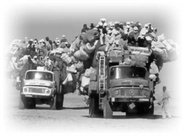 Иллюстрация к книге — Нецензурные заметки Евгения Сивкова о российском консалтинге [i_063.jpg]