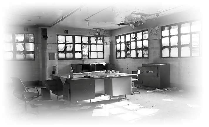 Иллюстрация к книге — Нецензурные заметки Евгения Сивкова о российском консалтинге [i_101.jpg]