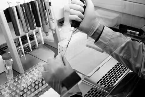 Иллюстрация к книге — Нецензурные заметки Евгения Сивкова о российском консалтинге [i_155.jpg]