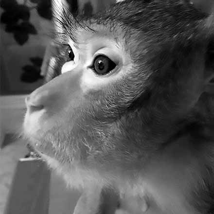 Иллюстрация к книге — Нецензурные заметки Евгения Сивкова о российском консалтинге [i_163.jpg]