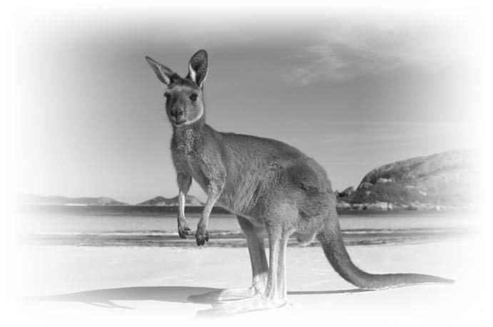 Иллюстрация к книге — Нецензурные заметки Евгения Сивкова о российском консалтинге [i_200.jpg]