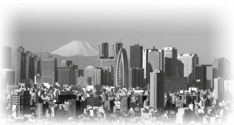 Иллюстрация к книге — Нецензурные заметки Евгения Сивкова о российском консалтинге [i_269.jpg]