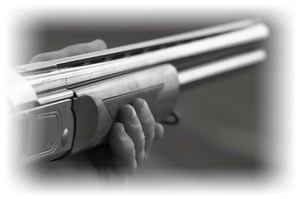 Иллюстрация к книге — Нецензурные заметки Евгения Сивкова о российском консалтинге [i_333.jpg]