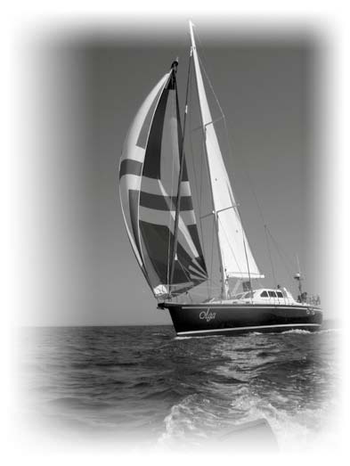 Иллюстрация к книге — Нецензурные заметки Евгения Сивкова о российском консалтинге [i_365.jpg]