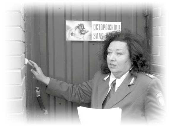 Иллюстрация к книге — Нецензурные заметки Евгения Сивкова о российском консалтинге [i_366.jpg]