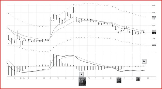 Иллюстрация к книге — Самый сильный сигнал в техническом анализе. Расхождения и развороты трендов [i_003.jpg]