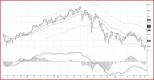 Иллюстрация к книге — Самый сильный сигнал в техническом анализе. Расхождения и развороты трендов [i_008.jpg]
