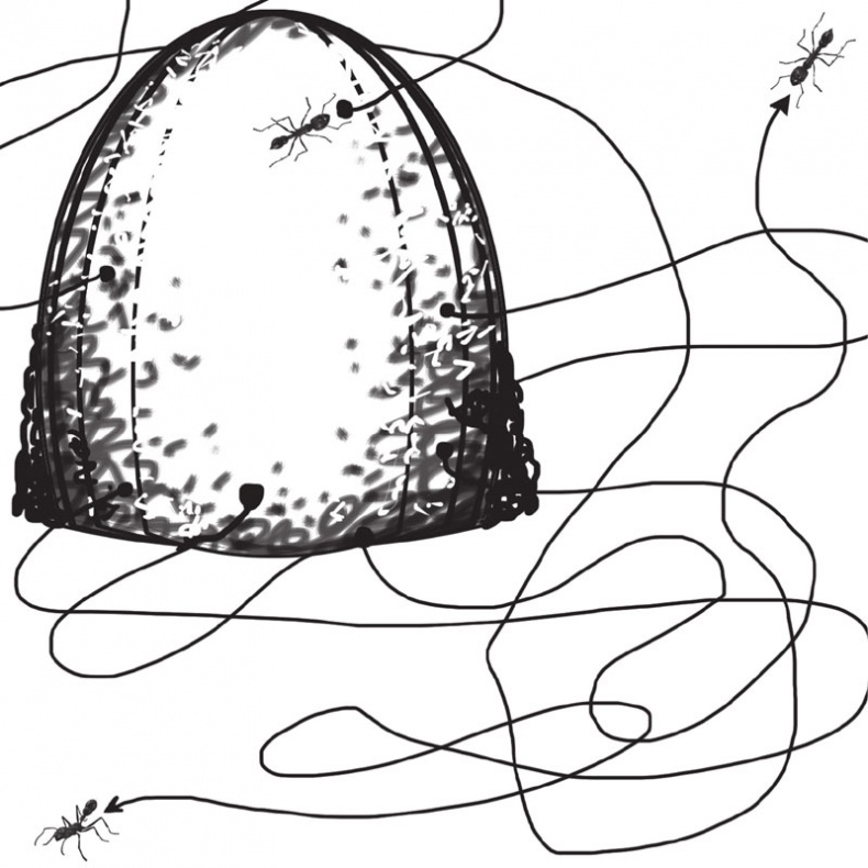 Иллюстрация к книге — Экономика ХХІ [i_004.jpg]