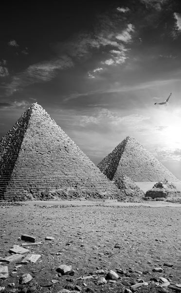 Иллюстрация к книге — Путь к звездам. Когда гороскопы сбываются [i_007.jpg]