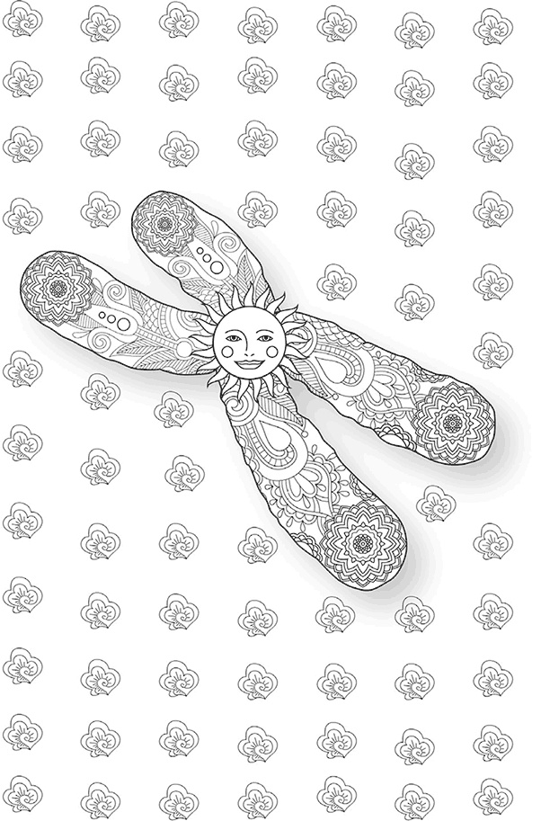 Иллюстрация к книге — Эффект теломер. Революционный подход к более молодой, здоровой и долгой жизни [i_050.jpg]