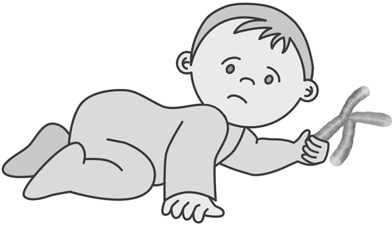 Иллюстрация к книге — Эффект теломер. Революционный подход к более молодой, здоровой и долгой жизни [i_062.jpg]