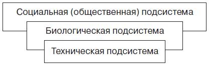 Иллюстрация к книге — Теория организации [i_007.jpg]