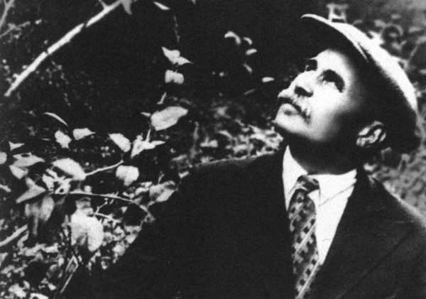 Иллюстрация к книге — Новиков-Прибой [i_021.jpg]