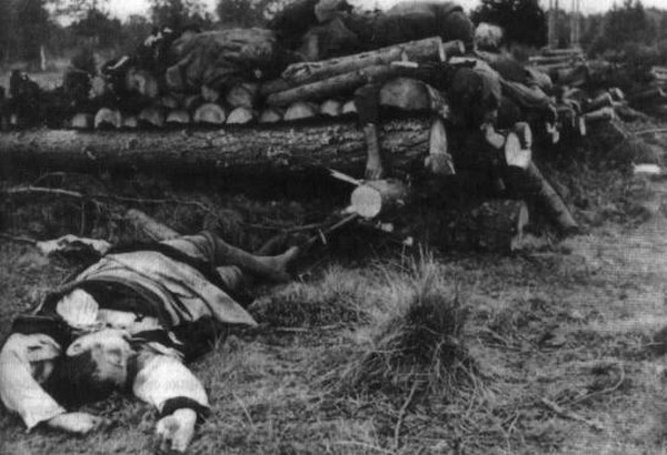 Иллюстрация к книге — Ромен Гари, хамелеон [i_011.jpg]