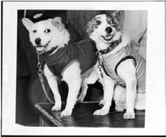 Иллюстрация к книге — Юрий Гагарин. Человек-легенда [i_026.jpg]