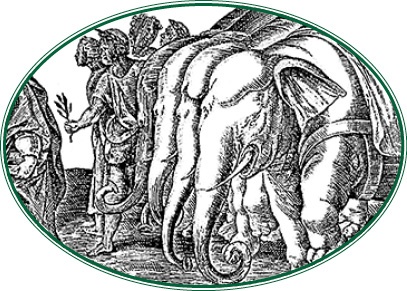 Иллюстрация к книге — Ганнибал у ворот! [i_109.jpg]