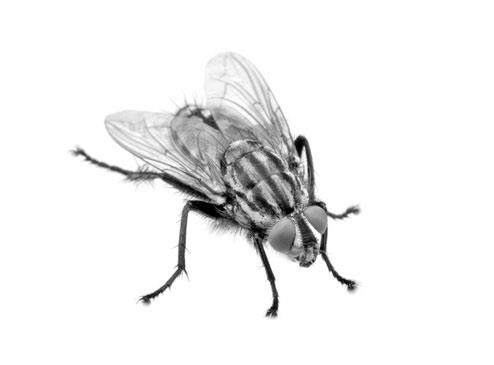 Иллюстрация к книге — Войны прошлого и будущего [i_103.jpg]