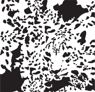 Иллюстрация к книге — Нейромаркетинг в действии. Как проникнуть в мозг покупателя [i_008.jpg]