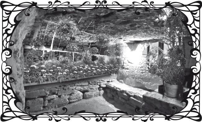 Иллюстрация к книге — Букет из Оперного театра [img6449.jpg]