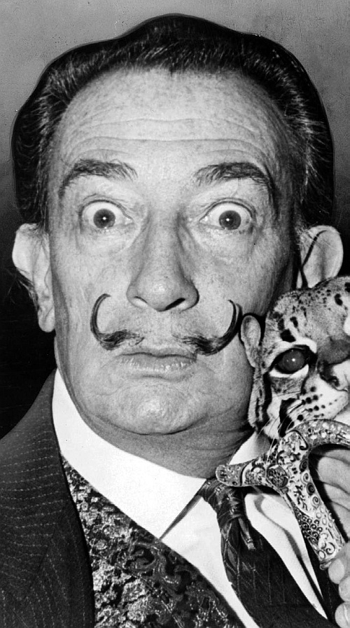 Иллюстрация к книге — Мой муж - Сальвадор Дали [i_043.jpg]