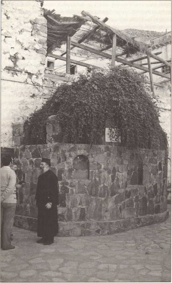 Иллюстрация к книге — Русский Египет [i_004.jpg]