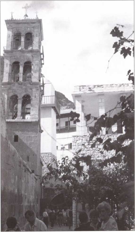 Иллюстрация к книге — Русский Египет [i_024.jpg]