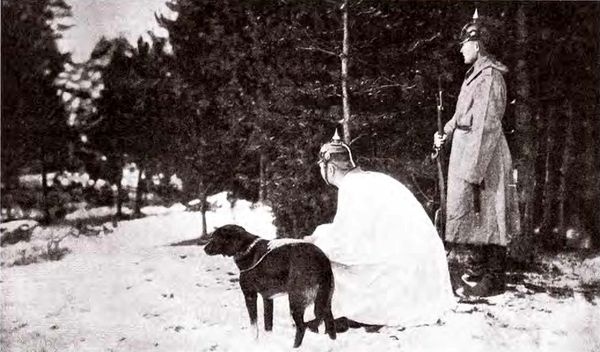 Иллюстрация к книге — Штурм Карпат. Зима 1915 года [i_048.jpg]