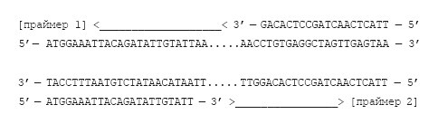 Иллюстрация к книге — Сумма биотехнологии. Руководство по борьбе с мифами о генетической модификации растений, животных и людей [i_017.jpg]