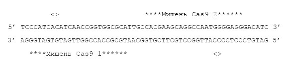 Иллюстрация к книге — Сумма биотехнологии. Руководство по борьбе с мифами о генетической модификации растений, животных и людей [i_039.jpg]