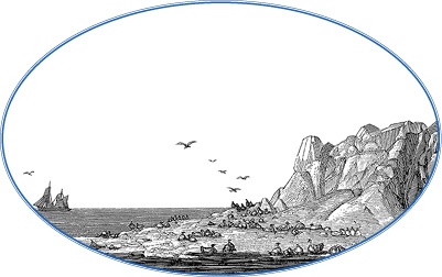 Иллюстрация к книге — Камчатские экспедиции [i_071.jpg]