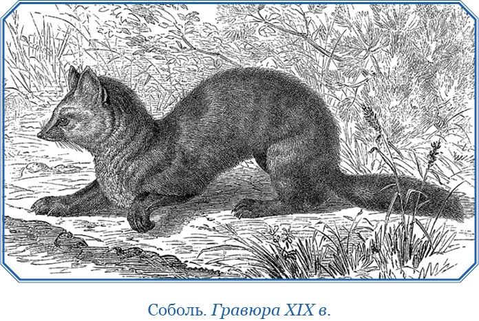 Иллюстрация к книге — Камчатские экспедиции [i_107.jpg]