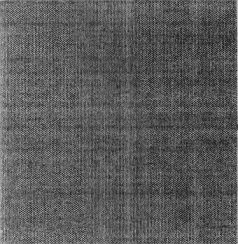 Иллюстрация к книге — Воспоминания о Евгении Шварце [i_002.jpg]