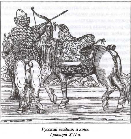 Иллюстрация к книге — Опальные воеводы [i_020.jpg]