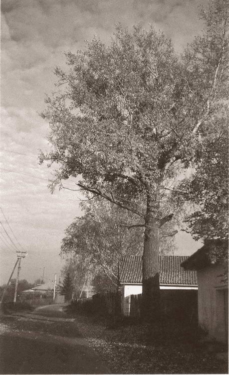 Иллюстрация к книге — Кожедуб [i_003.jpg]