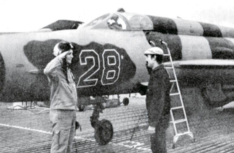 Иллюстрация к книге — Камуфляж и бортовые эмблемы авиатехники советских ВВС в афганской кампании [i_043.jpg]