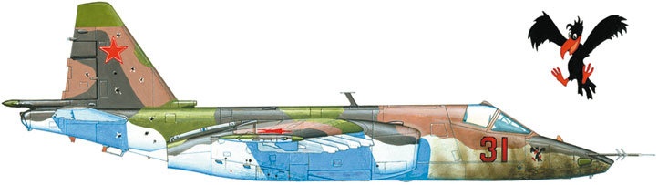 Иллюстрация к книге — Камуфляж и бортовые эмблемы авиатехники советских ВВС в афганской кампании [i_188.jpg]