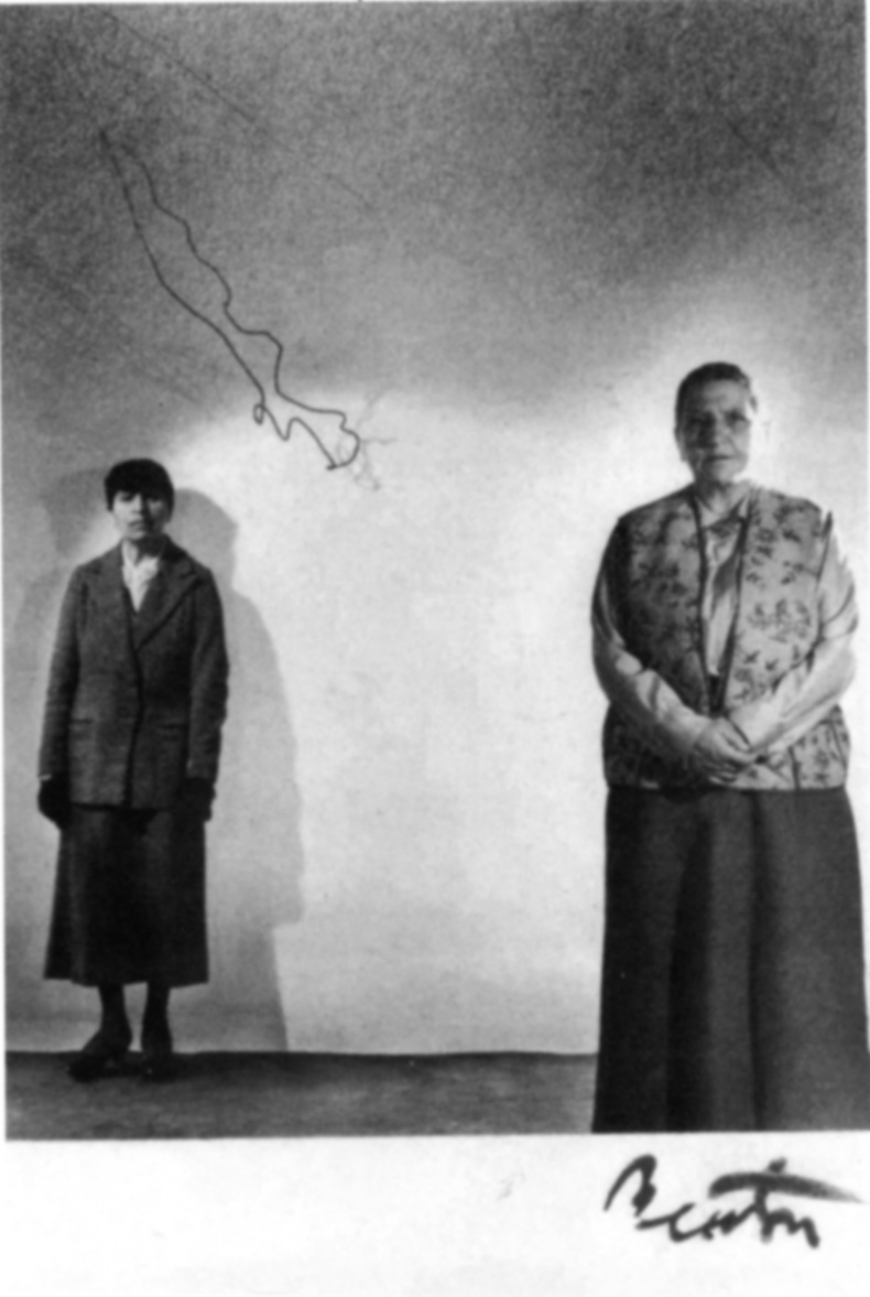 Иллюстрация к книге — Художники во Франции во время оккупации. Ван Донген, Пикассо, Утрилло, Майоль, Вламинк... [_21.jpg]