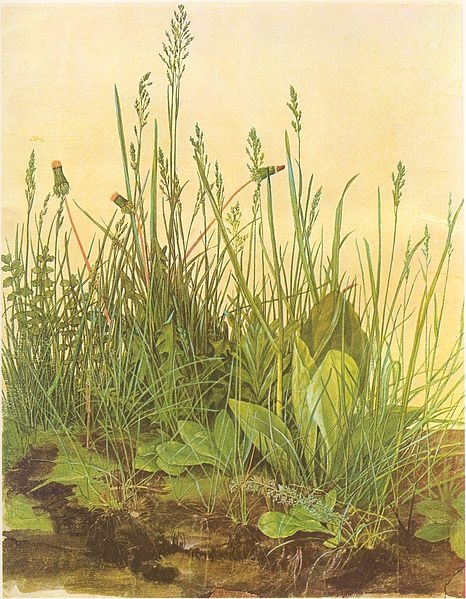 Иллюстрация к книге — Дюрер [i_037.jpg]