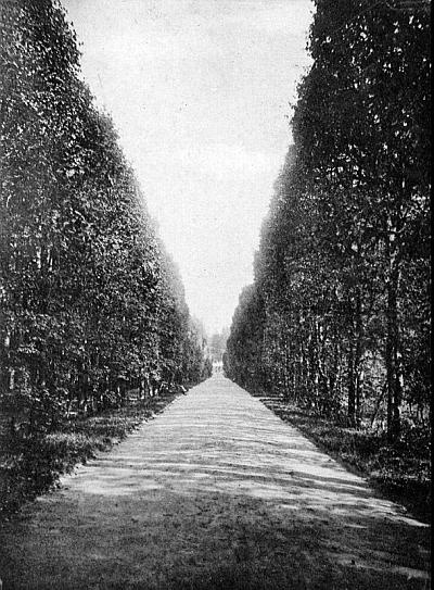 Иллюстрация к книге — Князь Николай Борисович Юсупов. Вельможа, дипломат, коллекционер [_410.jpg]